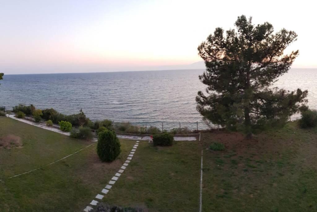 Sunshine House Offering Spectacular Views To Olymp A Apartman Néa Iráklia Kültér fotó